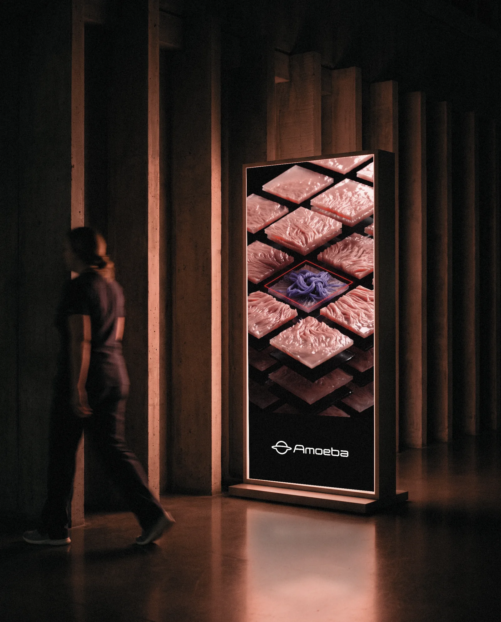 An Amoeba poster in a lightbox in a dark corridor
